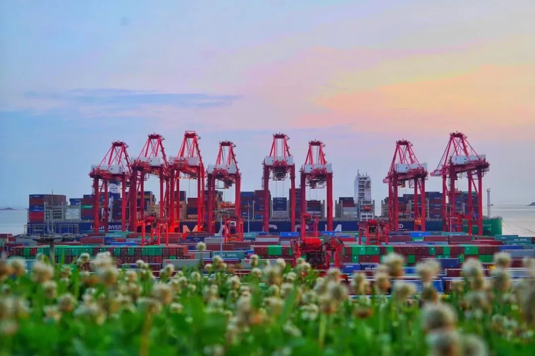 2023/06/30-07/06广东到天津内贸集装箱海运费报价  --  bevictor伟德官网物流