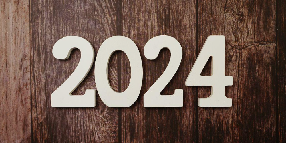 2023年迄今小型集装箱船拆解量的激增  --  bevictor伟德官网物流